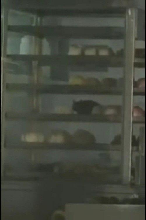 后厨爆料超哥视频,超哥视频背后的真实故事  第2张